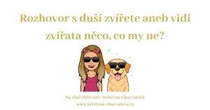 Rozhovor s duší zvířete aneb vidí zvířata něco, co my ne?
